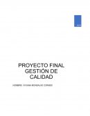 DISEÑO SISTEMA DE GESTION DE CALIDAD (Basado en Norma ISO 9001/2015)
