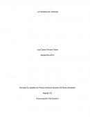 Paradoja del liderazgo