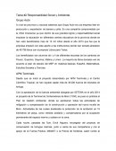 Tarea #2 Responsabilidad Social y Ambiental. Grupo Acón