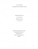 Coca Cola VS Pepsi . Teoría Organizacional y Habilidades Gerenciales