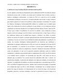 CAPITULO 5: PLAN ESTRATÉGICO INSTITUCIONAL(PEI)