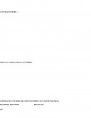 CUADRO DESCRIPTIVO DEL PERFIL DE LOS TRES PADRES EUDISTAS