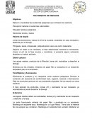 Tratamiento de residuos