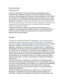 Derecho Informatico