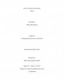 Formulación de proyectos en mi profesión Dunamis Dance Studio LTDA