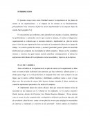 PLAN DE CARRERA. Sap Agregados S.A