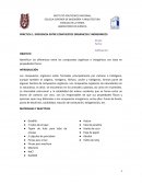 PRÁCTICA 1. DIFERENCIA ENTRE COMPUESTOS ORGÁNICOS E INORGÁNICOS