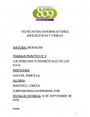 Trabajo práctico N° 2 Los derechos fundamentales de los N.N.A