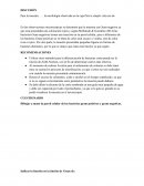 Las tinciones básicas en el laboratorio de microbiología