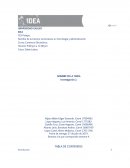 Proyecto comercio electronico