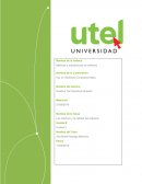 Las métricas y la calidad del software