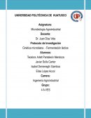 Protocolo de investigación fermentación láctica