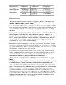 Las competencias que un profesional debería tener para aportar en el mundo laboral