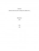 PROYECTO DE ELECCION ALTERNATIVA PRODUCTIVA