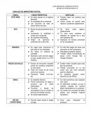 Canales de mkt digital