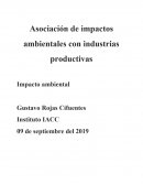 Asociación de impactos ambientales con industrias productivas