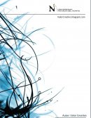 La empresa “NAPSIS” S.A.C