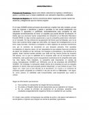 Principio de prudencia Gowex