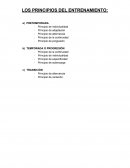 Los principios del entrenamiento