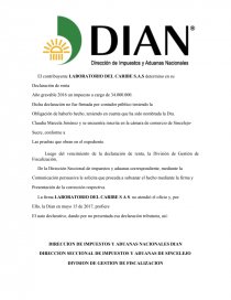 Auto declarativo. Página 1