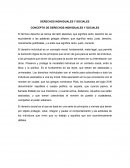 Derechos individuales y sociales