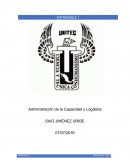 Administración de la Capacidad y Logística