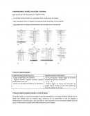 TIPOS DE CIMENTACIONES
