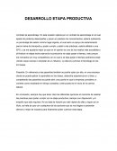 DESARROLLO ETAPA PRODUCTIVA