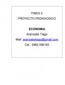 PROYECTO PEDAGOGICO ECONOMIA