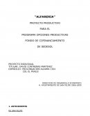 Alfareria Proyecto productivo