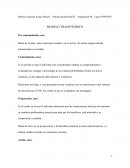 Modelo trasnsteòrico