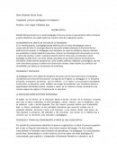 Acercamiento al objeto de estudio de la pedagogia