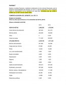 Actividad Análisis financiero Comercializadora del Sureste, S.A. de C.V.