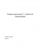 Trabajo experiencial 2 : Análisis de vulnerabilidad