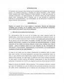 Trabajo introducción a la economía