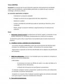 Tema control organizativo