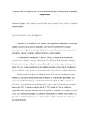Construcción de un sistema para la prevención de riesgos en alturas en el sector de la construcción