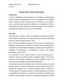 Ensayo sobre el Plan de Marketing