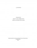 ¿Qué es y cómo se consigue la felicidad según Aristóteles?