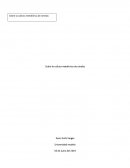 La cultura metaforica de omelas