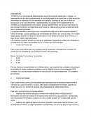 DESEMPEÑO “Control S.A”