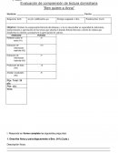 Evaluación de Comprensión lectora Ben quiere a Anna