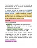 Neurofisiología: estudia el comportamiento y funcionamiento de las neuronas, se interesa por la actividad eléctrica del SN