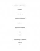 PROCESO DE DESPACHO Y DE RECIBO DE UN PRODUCTO TIPO DE EMPRESA: Alimentos