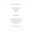 PUERTO COLOMBIA ATLÁNTICO FASES DE LOS PROYECTOS