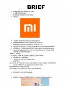 BRIEF : XIAOMI CO S.A.C