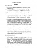 Análisis sobre Migraciones