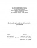 Arqueo de la agresividad