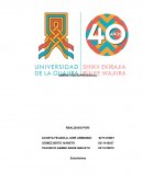 Marketing experiencial