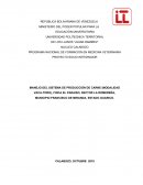 MANEJO DEL SISTEMA DE PRODUCCIÓN DE CARNE (MODALIDAD VACA-TORO), FINCA EL PARAISO, SECTOR LA ROMEREÑA, MUNICIPIO FRANCISCO DE MIRANDA, ESTADO GUARICO